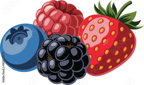A vibrant and fresh collection of assorted mixed berries illustration.