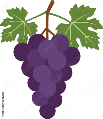 Juicy Harvest of Ripe Red Grapes Bunch with Leaves on Vine, Transparent PNG for Agriculture and Food Graphics