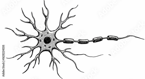 Neuron structure with axon in artistic illustration for scientific education