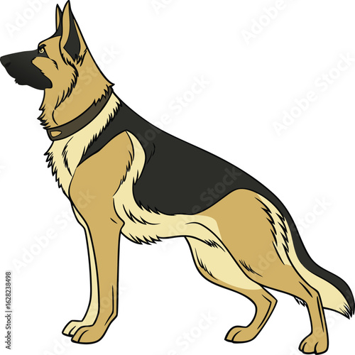 Classic German Shepherd Dog Standing in an Alert Pose Illustration