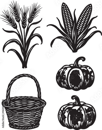 Harvest bounty graphic elements with basket wheat corn and pumpkins