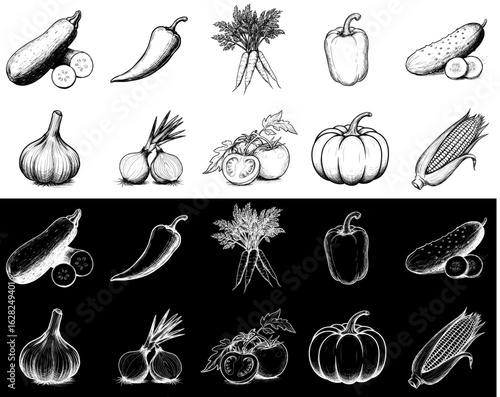 various vegetables including zucchini, chili, carrot, sweet pepper, cucumber, garlic, onion, tomatoes, corn, two designs on transparent and black background, pencil drawing, chalk drawing  