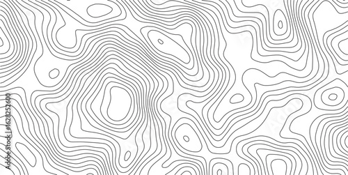 Vector geographic contour mounted map background. Abstract minimal The patter discovery vector topo map. creative discovery White wave grid stripe line map topography