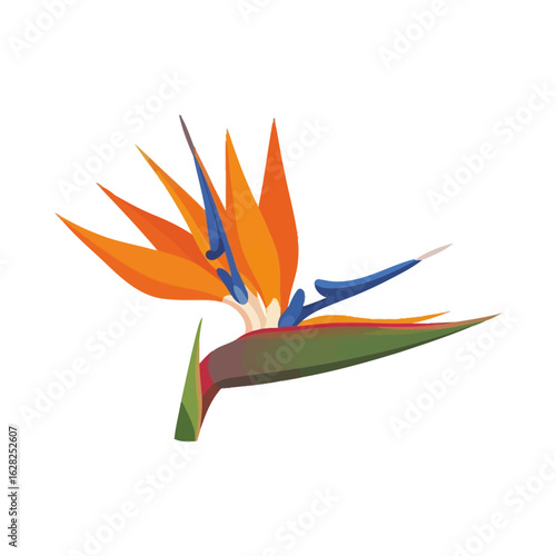 Flat vector illustration of a bird of paradise flower with orange and blue petals, isolated on white background