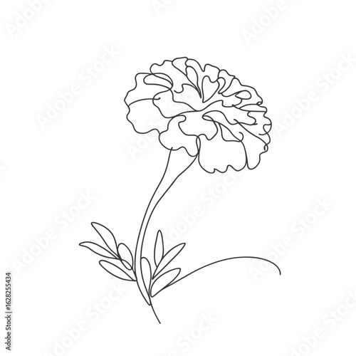 Marigold line drawing in black and white for art
