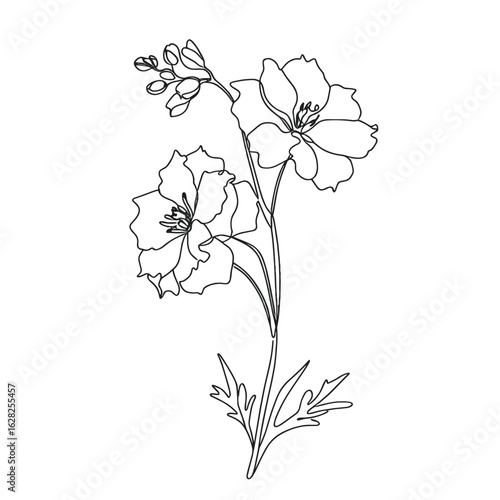 Black and white line art of Larkspur in minimalist style