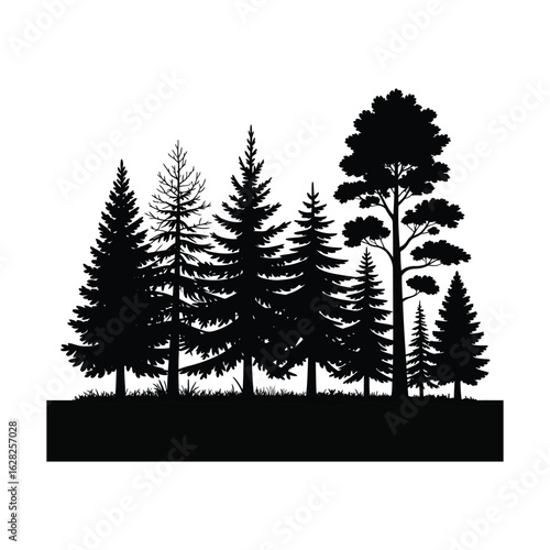 Silhouette of a dense forest with various evergreen trees against a white background