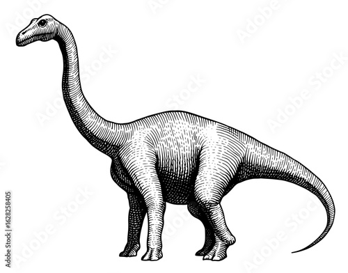 Sauropod dinosaur, black and white woodcut style