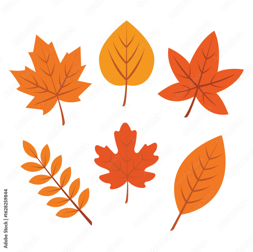 Naklejka premium Flat Vector Set of 6 Autumn Leaves – Fall Season Leaf Collection