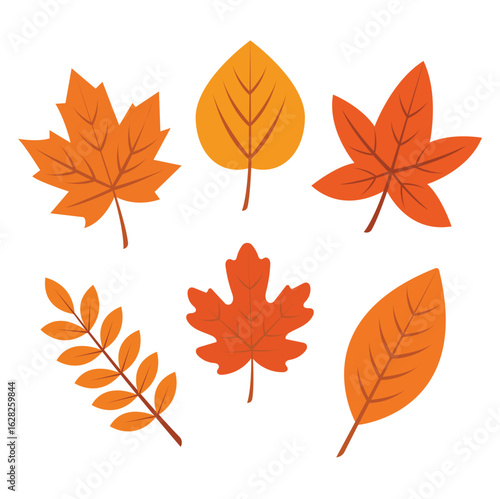 Flat Vector Set of 6 Autumn Leaves – Fall Season Leaf Collection