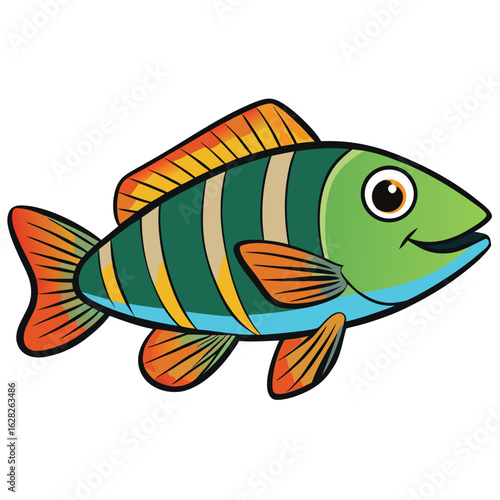 fish on a white background