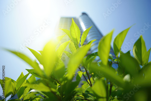 Bright green leaves against a blurred building and bright sky on a sunny day creating a fresh feeling