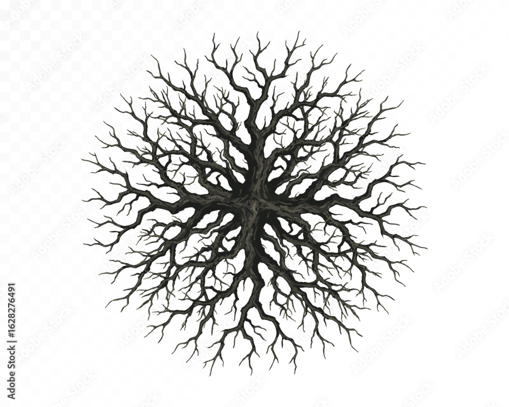 Detailed watercolor spooky tree with twisted bare branches, perfect for eerie autumn or Halloween designs. Strong silhouette. Vector illustration.