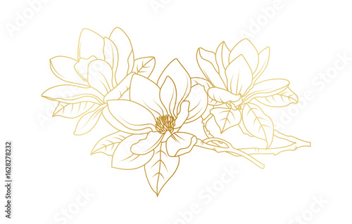 Golden magnolia flowers line art isolated on white background. Luxury magnolia floral design elements for invitation, wedding, wallpaper, print template, vector illustration