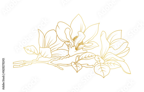 Golden magnolia flowers line art isolated on white background. Luxury magnolia floral design elements for invitation, wedding, wallpaper, print template, vector illustration