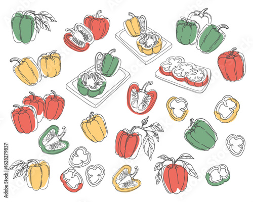 Bell pepper plant. Bell pepper collection. Illustrations of bell peppers - whole, sliced and on the bush. Hand drawn illustration.