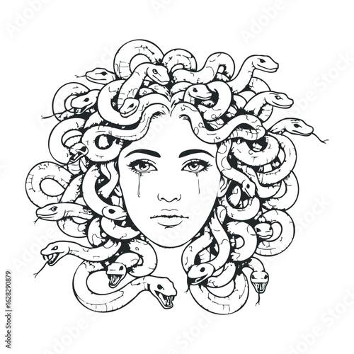 Medusa's lament artistic representation of mythology contemporary art studio emotional depth intricate design. Vector illustration