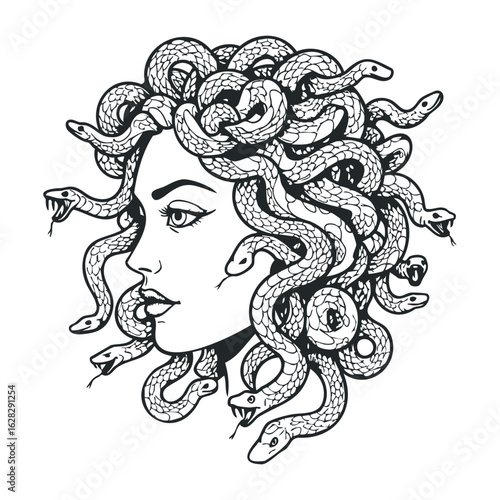 Medusa rising a mythological art piece featuring snakes digital illustration fantasy realm side profile. Vector illustration