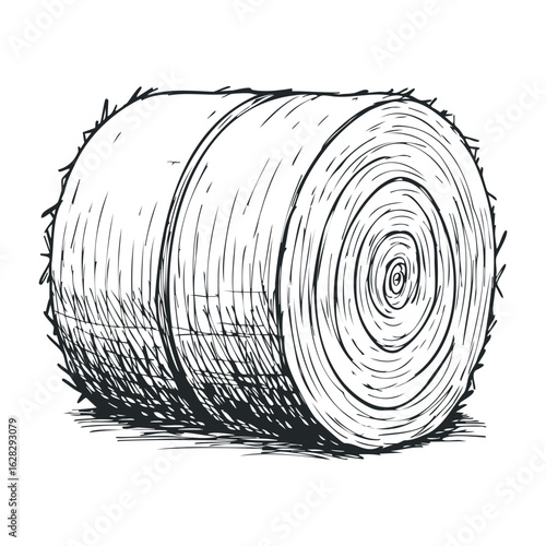 Harvesting hay bales in rural landscape agricultural illustration natural environment artistic view. Vector illustration