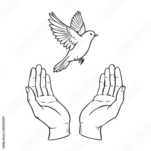 Releasing a bird from hands freedom symbol illustrated art minimalist design uplifting concept. Vector illustration