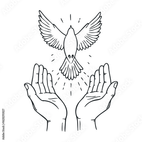 Release of a peaceful dove from outstretched hands symbolizing freedom minimalist graphic illustration. Vector illustration