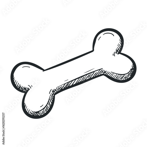 Dog chew toy home illustration indoor overhead view pet care concept. Vector illustration
