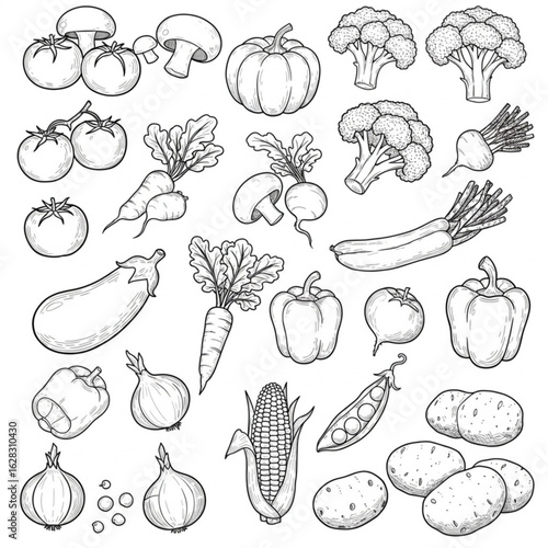 Vector art of hand drawn vegetables isolated on white background in sketch style
