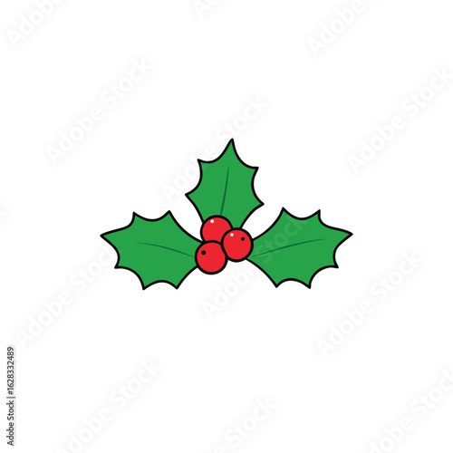 christmas holly with red berries