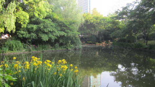 Photography chinese garden in shanghai