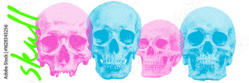 Set of human skull halftone grunge vector design elements
