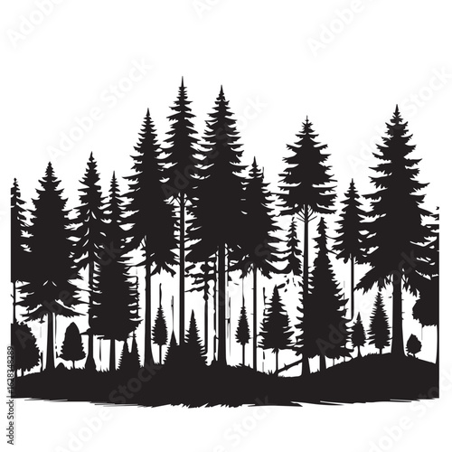 Forest trees silhouette vector illustration evergreen coniferous woods