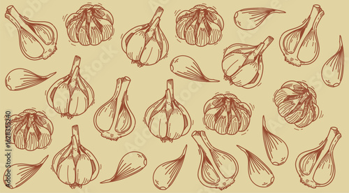 Line art Garlic classic background. Spice bottle label Sticker 