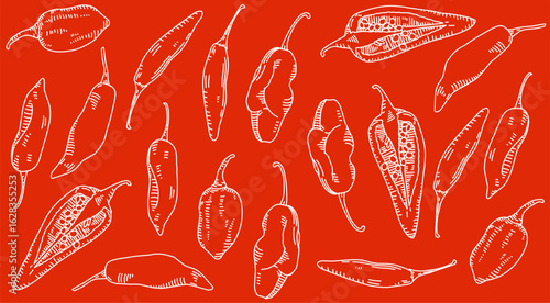 White Line art Chili on red  background Nature Powder Spice label sticer
