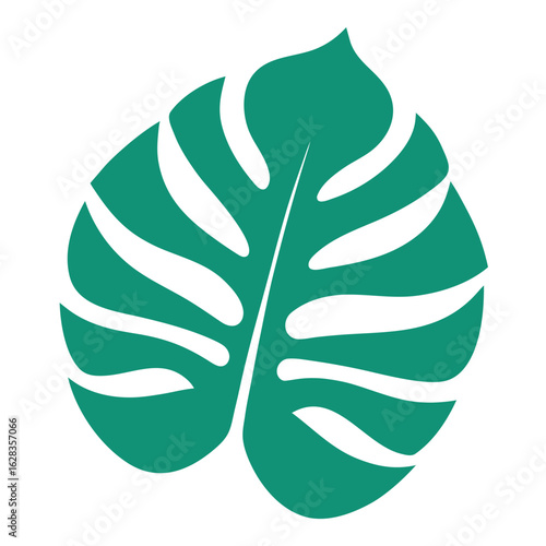 A vibrant green monstera leaf displayed against a clean white background