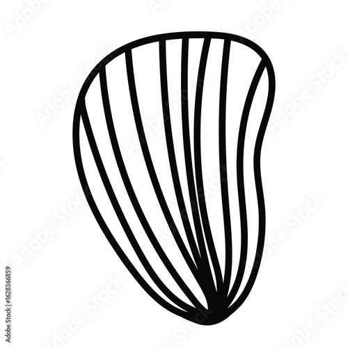 Vector contour drawing of a sea shell illustration.
