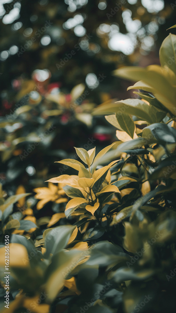 Fototapeta premium Leaves and Foliage in a Lush Green Forest Environment