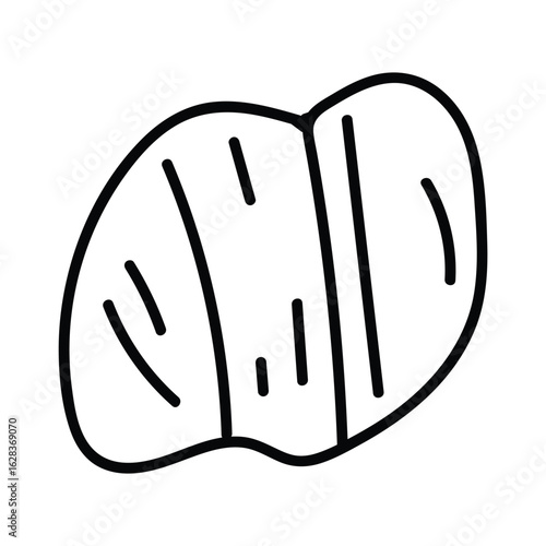 Decorative contour sketch of ocean shell design.