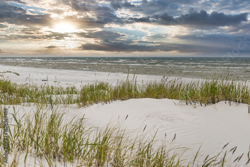 Fototapeta Naklejka Na Ścianę i Meble -  White sand dunes with tall grass at Baltic Sea beach under dramatic sunset clouds