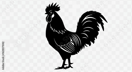 Elegant black silhouette of a proud rooster