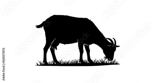 Black silhouette of a goat grazing in grass