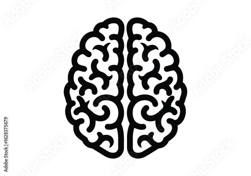 Stylized Vector illustration of black outline of a human brain on white background head mind