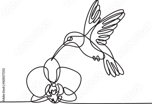 Continuous one line drawing of a graceful hummingbird hovering over an orchid flower in a minimalist style on a white background


