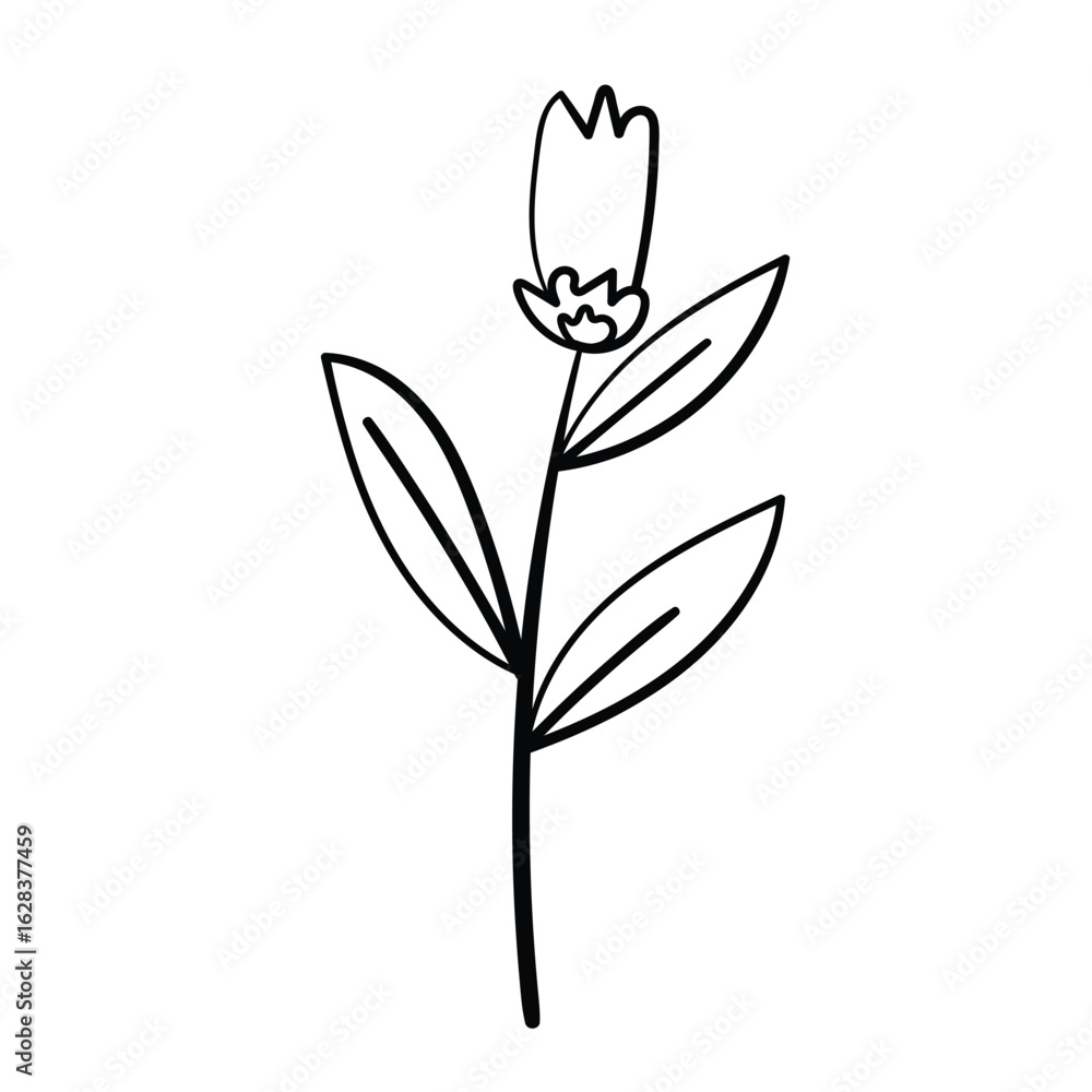 Obraz premium Sketched botanical element. Simple flower. Vector drawing. 