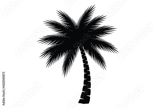 Vector illustration of Black silhouette of a palm tree on a white background tropical nature