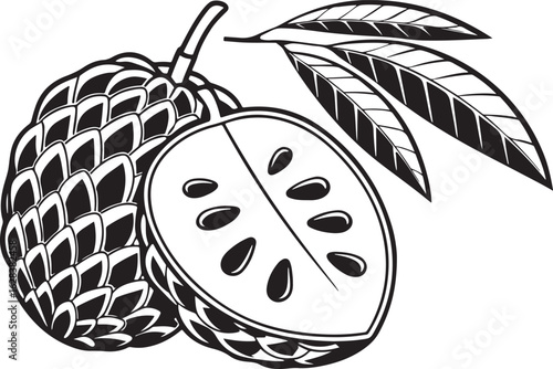 Hand drawn illustration of a cherimoya fruit and leaves in black and white