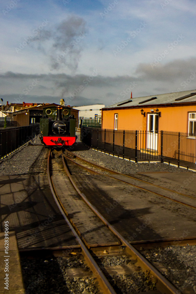 Obraz premium The vintage steam train coming into the Vale of Rheidol station in Aberystwyth.