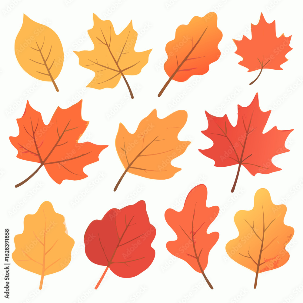 Obraz premium Autumn Leaves fall elements