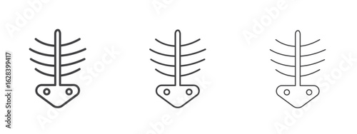 X ray icon in linear, outline icon isolated on white background