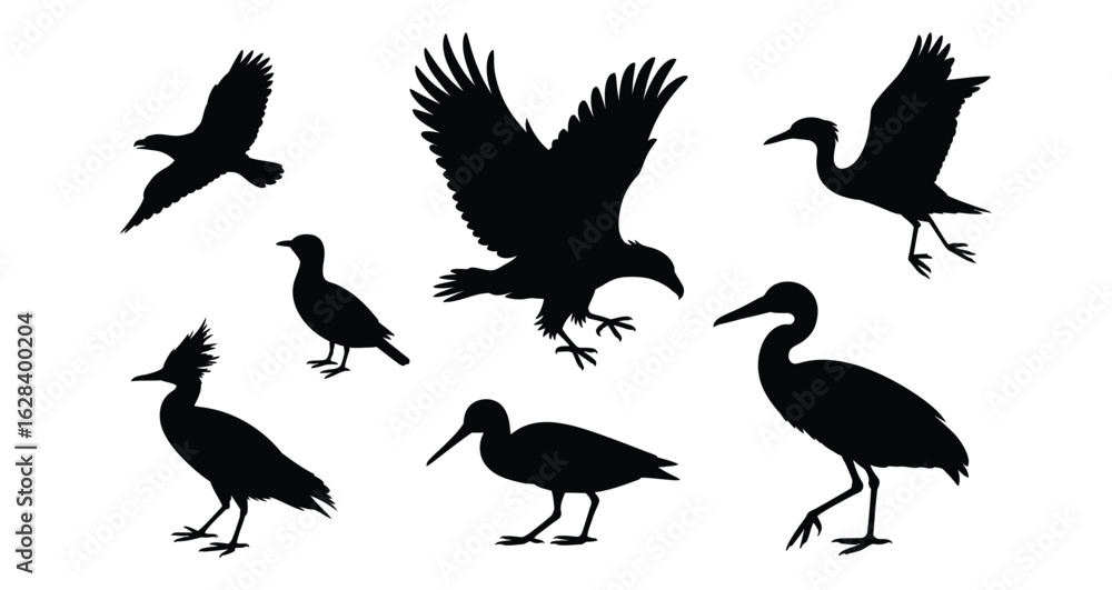 Fototapeta premium Set of six diverse bird silhouettes in varied postures—flying, perched, standing—ideal for wildlife themes, nature collections, and educational design