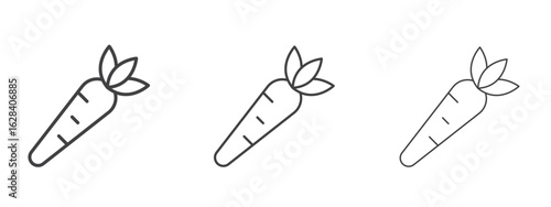 Carrot icon in linear, outline icon isolated on white background
